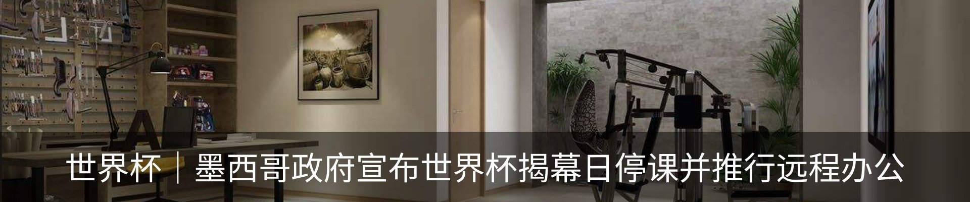 新闻动态