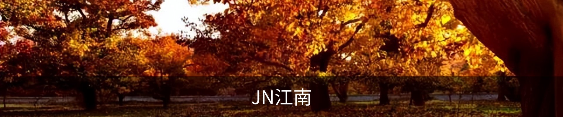 JN江南·(中国区)体育官方网站-JN SPORTS